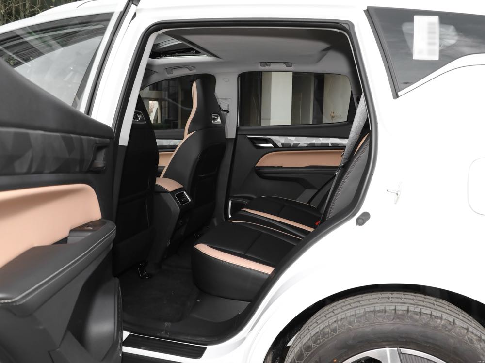 Geely Okavango Pro reviews